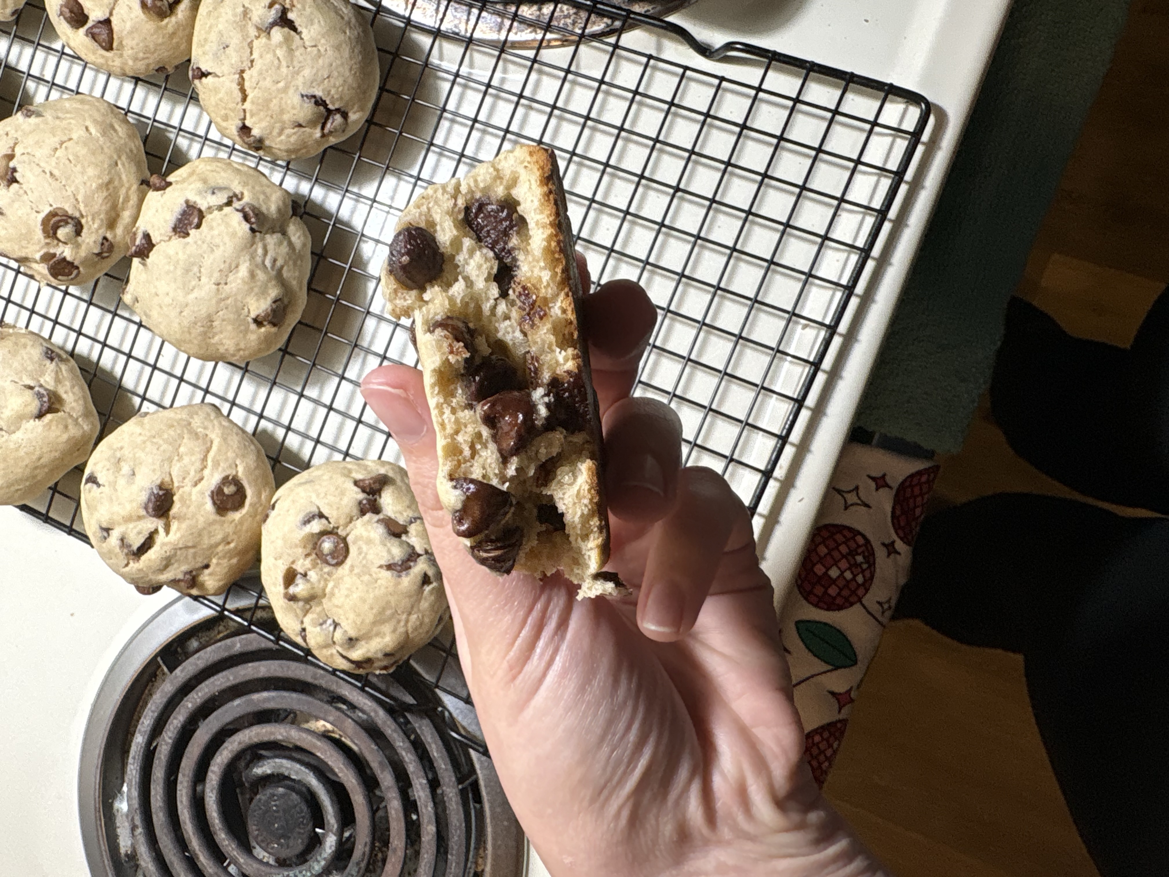 Chocolate chip cookie crumb