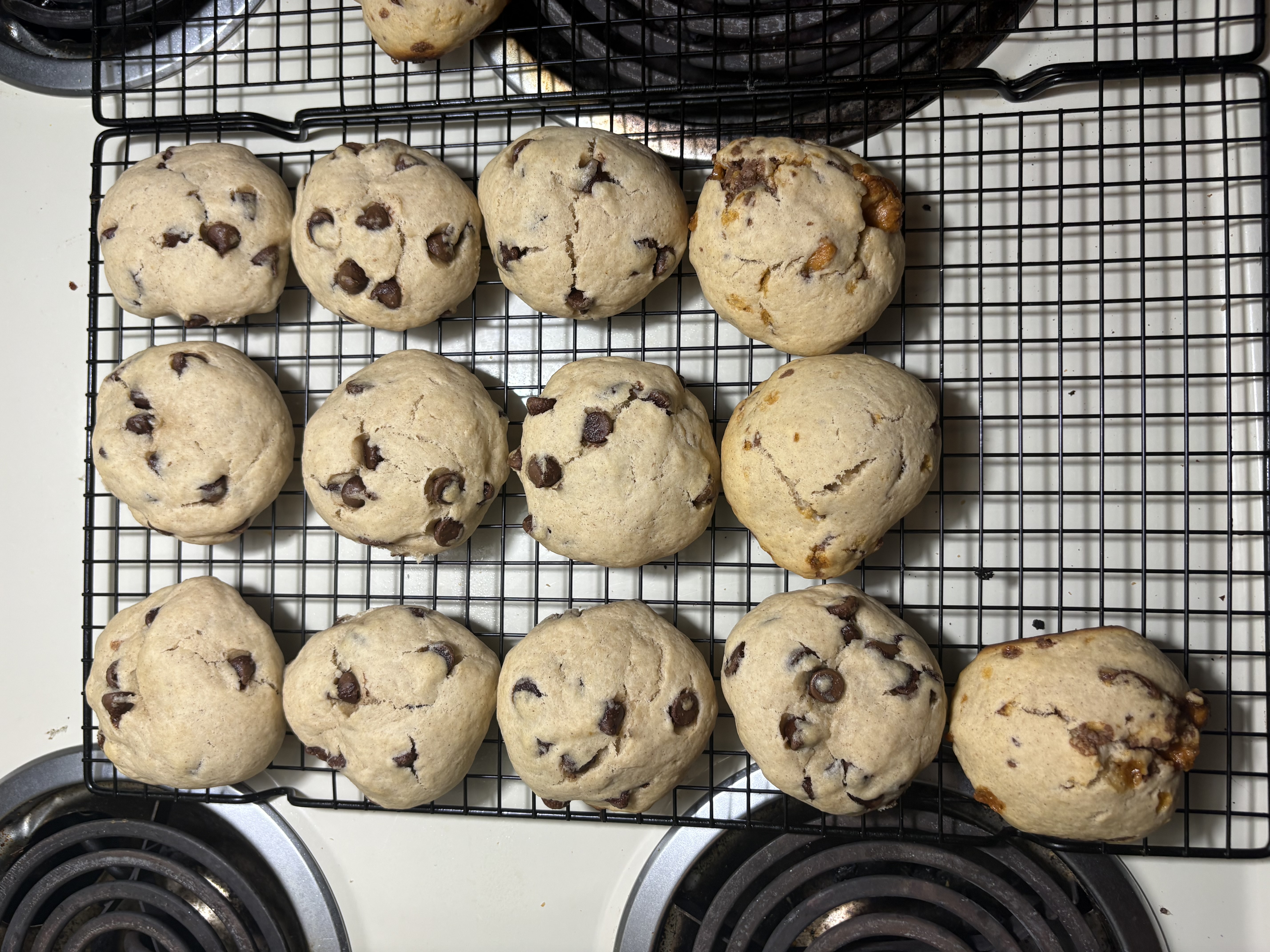 Fresh sourdough chocolate chip cookies